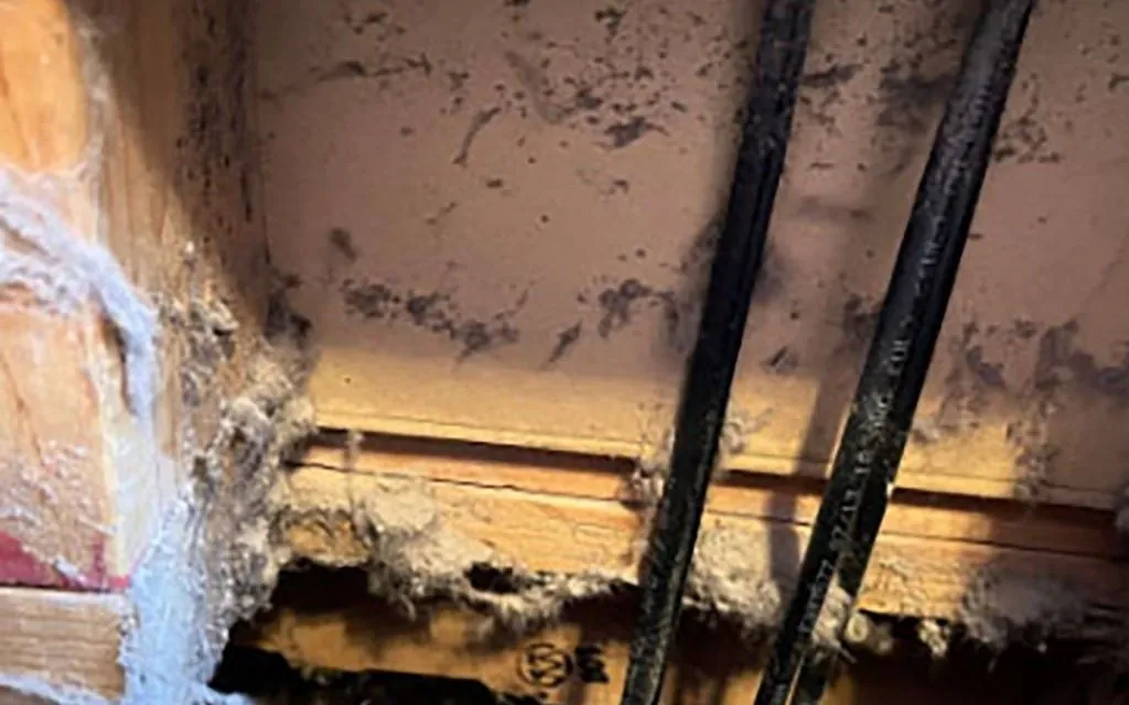 Duct Cleaning After Home Renovation: Why It's Non-Negotiable in Michigan